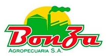 Cliente 07